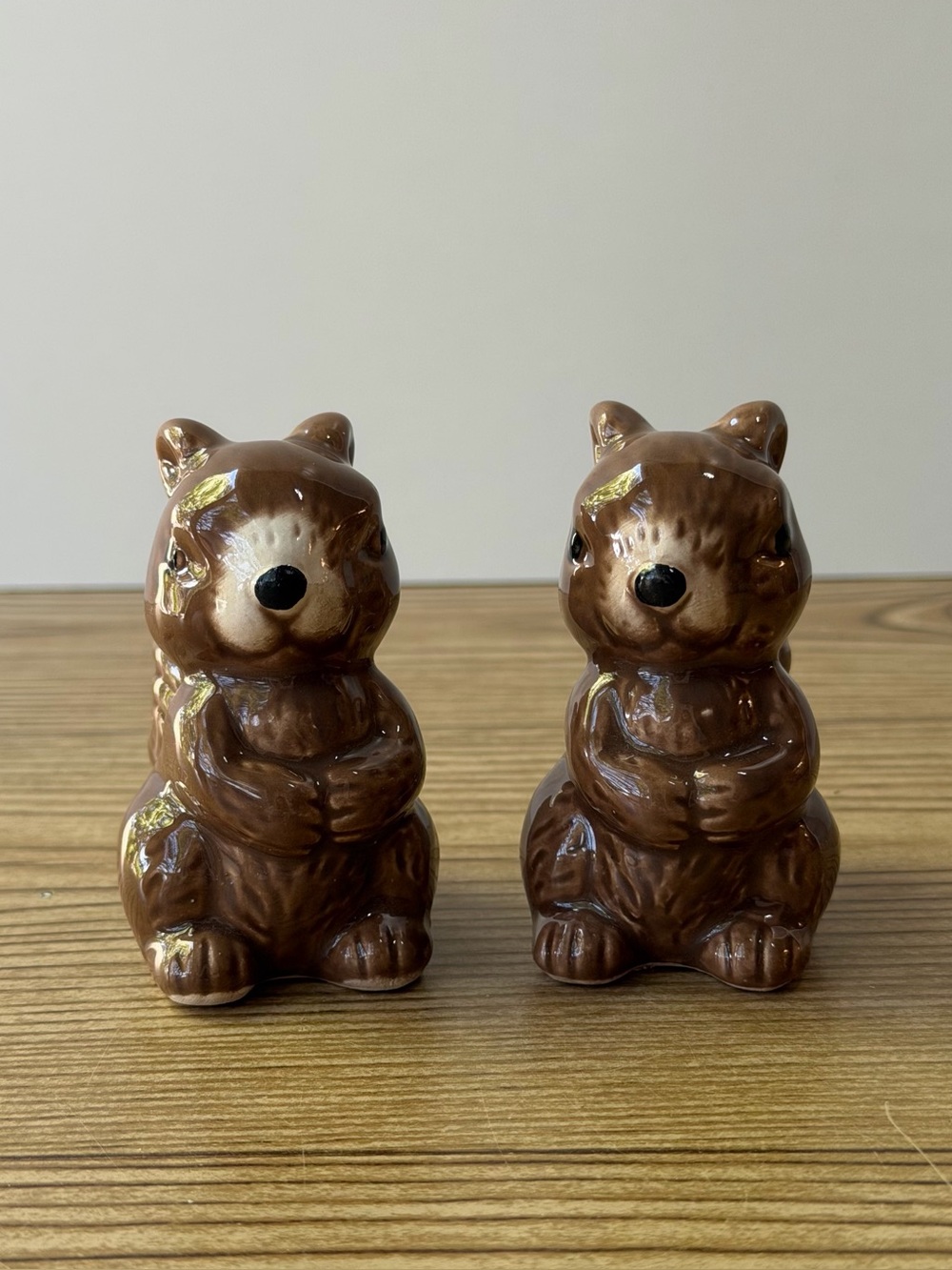 Fall Brown Squirrel Decorative Ceramic Salt & Pepper Shakers